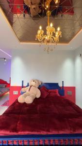 Teddy