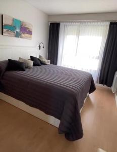 Alquiler temporario Playa Varese