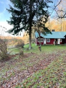Charming And Cozy Holiday Home In Skåne