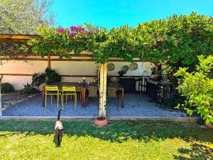 The Andalusian Retreat