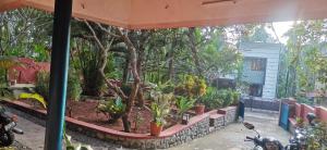 Home city Home stay & Ayurvedic Clinic