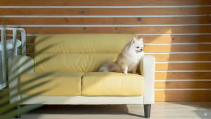 Yeosu Greenhouse Pension