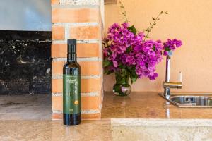 Villa Bianca - family vacation villa in rural Istria