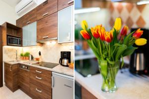 Vanilla 3, 4bdr 2bth apartment 5min to Main Square