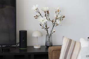 Luxury 3-Bedroom Apartment in Higuerón