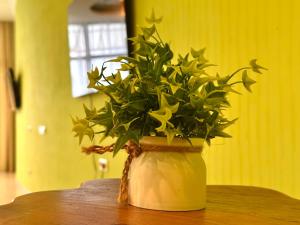 Chalenko Apartments Sea View Arcadia Palace