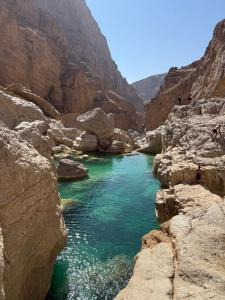 Wadi hawer tour guiding and local farm tour