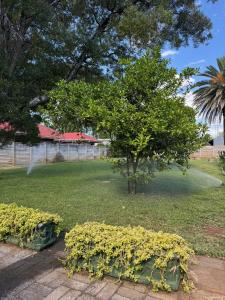 Maqoco Guest House