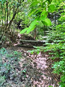 Peaceful and comfortable gite with valley view