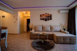 Marc Holiday Moonlight