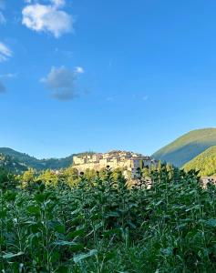 La casa di Peppe