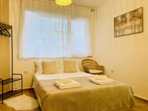 Cozy & Colourful 1Bed Apartment with Free Parking
