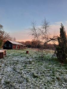 Le champ radis GÎTES 4 chalets au long du Canal du Nivernais