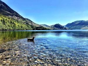 Cosy Cottage on edge of Lake District