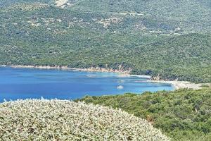Magnifique mini villa terrasse avec wifi résidence piscine mer à pied