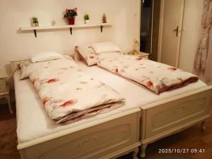 Vízház apartman