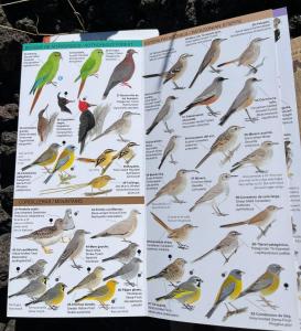 Domo Conguillio Conecta con tu energía sagrada junto al Salto Truful Truful con una vista majestuosa que podrás disfrutar en una tinaja Una experiencia que alineará tu espíritu y tu energía interior Vívelo