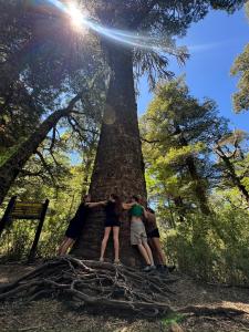 Domo Conguillio Conecta con tu energía sagrada junto al Salto Truful Truful con una vista majestuosa que podrás disfrutar en una tinaja Una experiencia que alineará tu espíritu y tu energía interior Vívelo