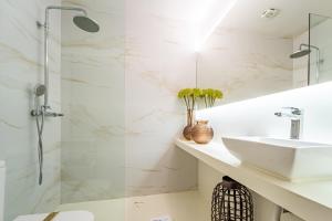 Brittos Lapa Apartment in Oporto City Center