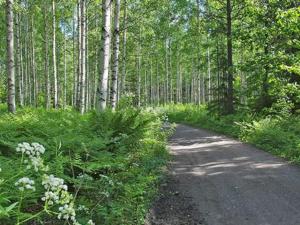 Holiday Home Kopinkallio 2 by Interhome