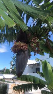 Yoga -Retreat -Villa Sappho near Ammoussa Beach