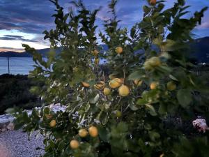Yoga -Retreat -Villa Sappho near Ammoussa Beach