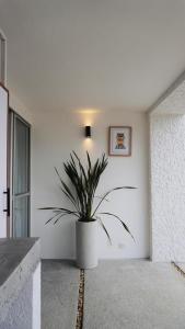 GURUS FR - La terraza más linda de Santa Rosa de Cabal