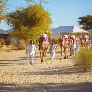 Royal Jaisalmer Resort with Swimming Pool