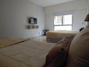 Vianzo BA 39 San Telmo