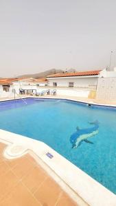 Apartamento con piscina en Aldea Blanca