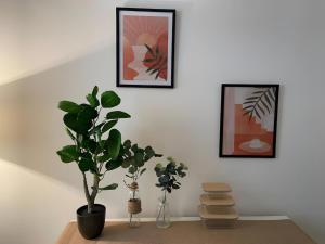 Laura ,Cœur de ville, port et plages la Ciotat