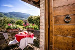 Historic Villa Among Olive Trees Near Assisi