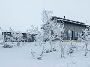 Holiday Home Villa viima by Interhome