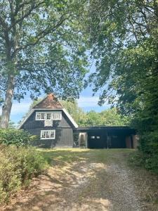 Atmosphere In Forest-Clad Setting At Rågeleje
