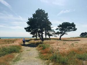 Unpretentious Holiday Home Idyll On Nature-Rich Sjællands Odde