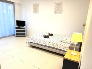 Charming Studio Cannes center with terrace, 10 min walk to beach Croisette