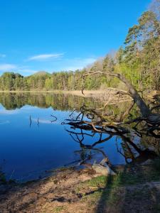 Wasgauer Felsen und Seenland