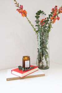 La Mancha, Beautiful and Spacious House in Anzures