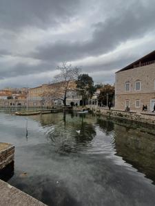 Modern Apartment G66 in the Center