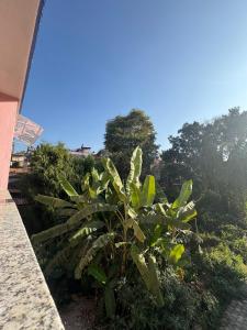 Apartment Annapurna-Khanals Home