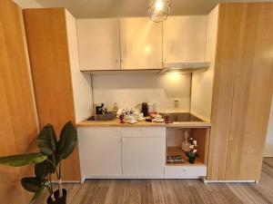 Urban Light Studio opening onto a terrace