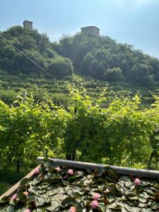AlMi House - Colline del Prosecco