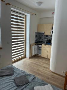 Útulný apartmán s terasou na Šumavě v malebné vesničce Prášily