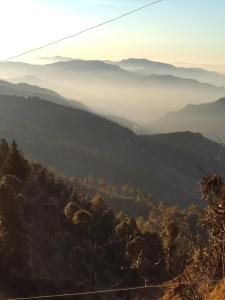 Mount aura stay & Dine