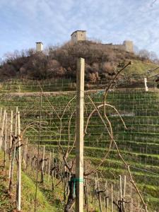 AlMi House - Colline del Prosecco