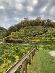 AlMi House - Colline del Prosecco