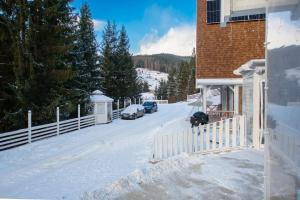 Freeman-3a - двокімнатний апартамент на увесь перший поверх котеджу - це виокремлена незалежна ЧАСТИНА БУДИНКУ з окремим входом з великою тер