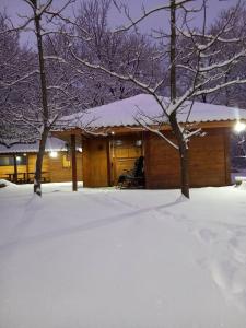 Koliba Dimitrijević