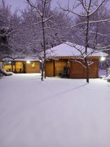 Koliba Dimitrijević