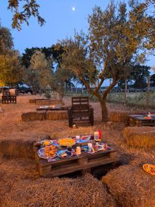 Agriturismo Supramurgia